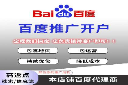 百度SEO推广策略深度解读：某企业网络营销的胜利之路